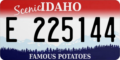 ID license plate E225144