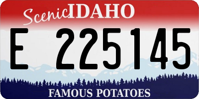 ID license plate E225145