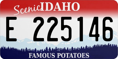 ID license plate E225146