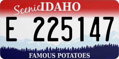 ID license plate E225147
