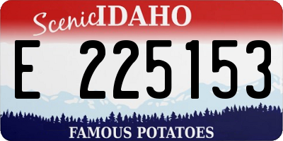 ID license plate E225153