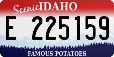 ID license plate E225159