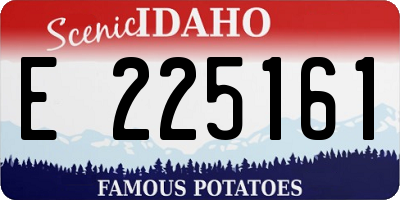 ID license plate E225161
