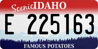 ID license plate E225163