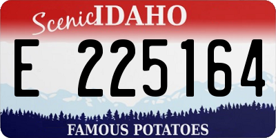 ID license plate E225164