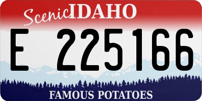 ID license plate E225166