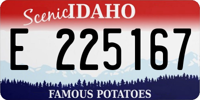 ID license plate E225167