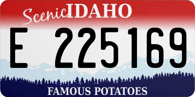 ID license plate E225169