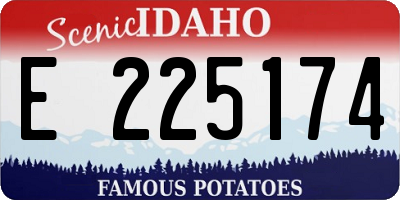 ID license plate E225174