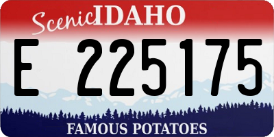 ID license plate E225175