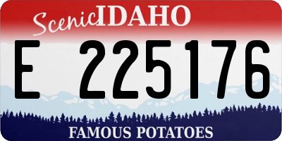 ID license plate E225176