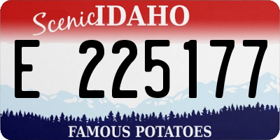 ID license plate E225177