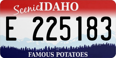 ID license plate E225183