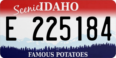 ID license plate E225184