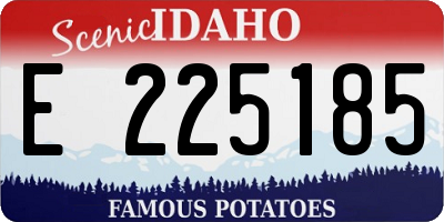 ID license plate E225185