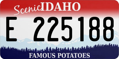 ID license plate E225188