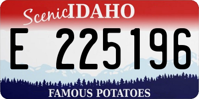 ID license plate E225196