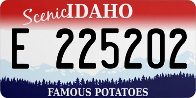 ID license plate E225202