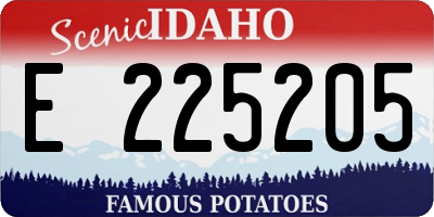 ID license plate E225205