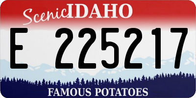 ID license plate E225217