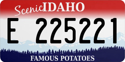 ID license plate E225221