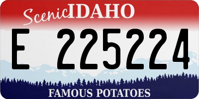 ID license plate E225224