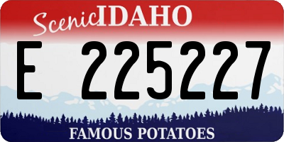 ID license plate E225227