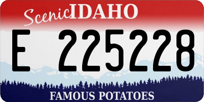 ID license plate E225228