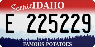 ID license plate E225229