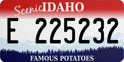 ID license plate E225232