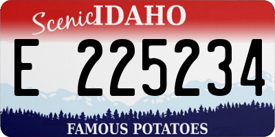 ID license plate E225234