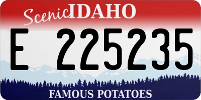 ID license plate E225235