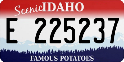 ID license plate E225237