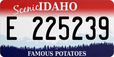 ID license plate E225239