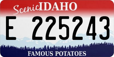ID license plate E225243