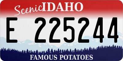 ID license plate E225244