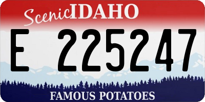ID license plate E225247