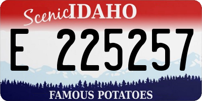 ID license plate E225257