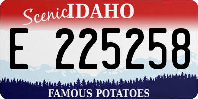 ID license plate E225258
