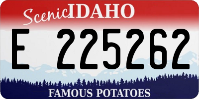 ID license plate E225262