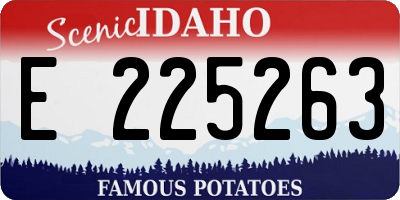 ID license plate E225263