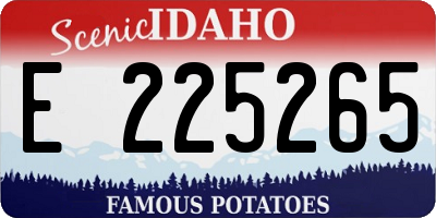 ID license plate E225265