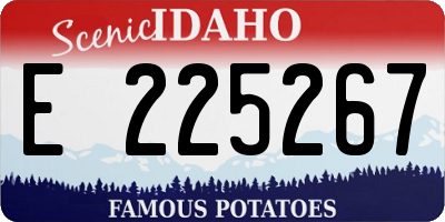 ID license plate E225267