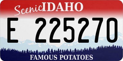 ID license plate E225270