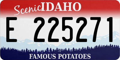 ID license plate E225271