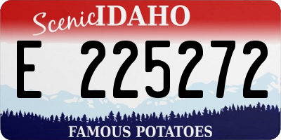 ID license plate E225272