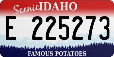 ID license plate E225273