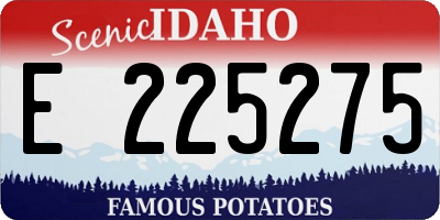 ID license plate E225275