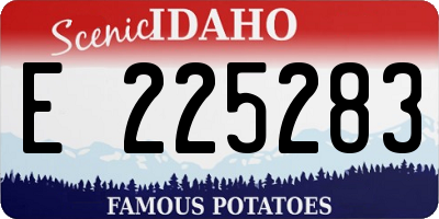 ID license plate E225283