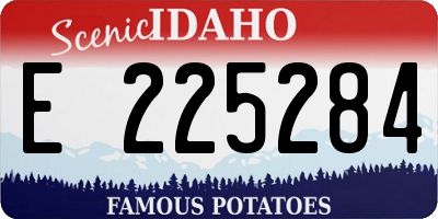 ID license plate E225284